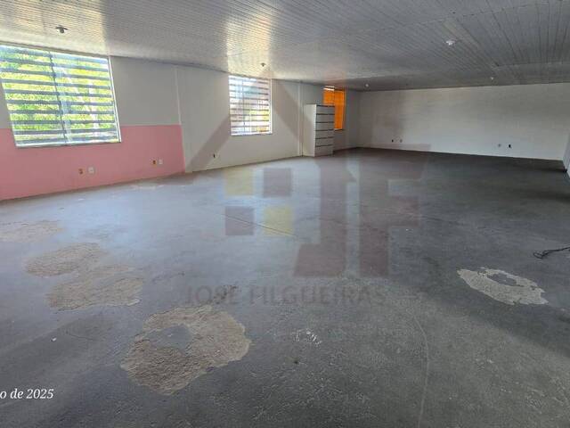 #447 - Salão Comercial para Locação em Lauro de Freitas - BA - 3