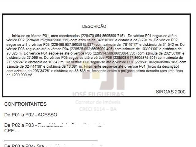 #469 - Área para Venda em Palmeiras - BA - 2